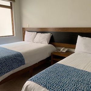 Habitación Estándar con 2 Camas Individuales